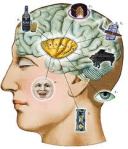 Cara Meningkatkan Daya Ingat Otak